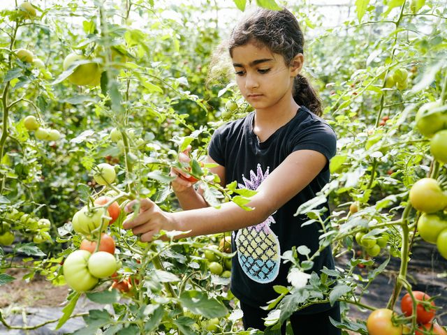 Foto: Sarah Wiener Stiftung I photothek